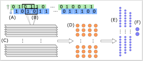 Towards entry "Preprint: Neural-network-supported basis optimizer for the configuration interaction problem in quantum many-body clusters: Feasibility study and numerical proof"